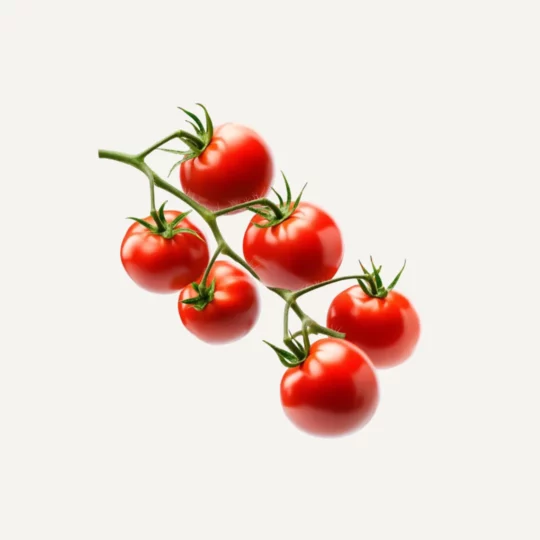 گوجهفرنگی گیلاسی
