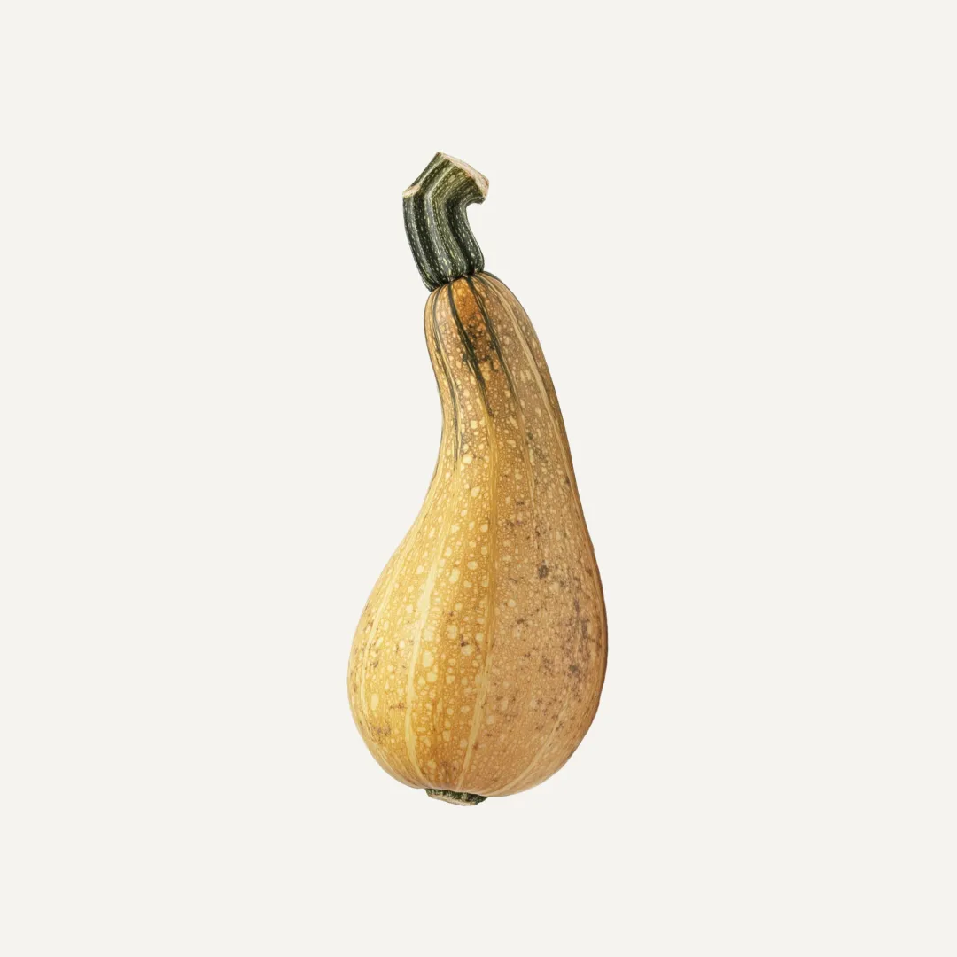کدو حلوایی